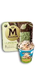 Productos Helados Magnum