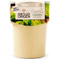 Crema alcachofa CASA AMETLLER, tarrina 485 ml