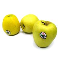 Manzana golden IGP POMA DE GIRONA, al peso, compra mínima 1 kg