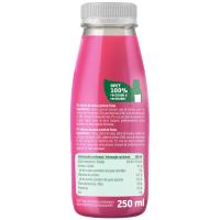 Suc paraguaià, dragon fruit i maracujà VIANATURE, ampolla 250 ml